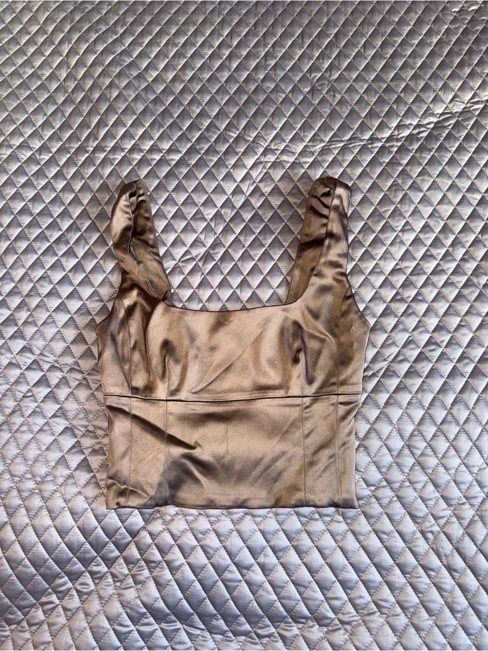 Aritzia Wilfred Shine Bustier -Taupe 2xs